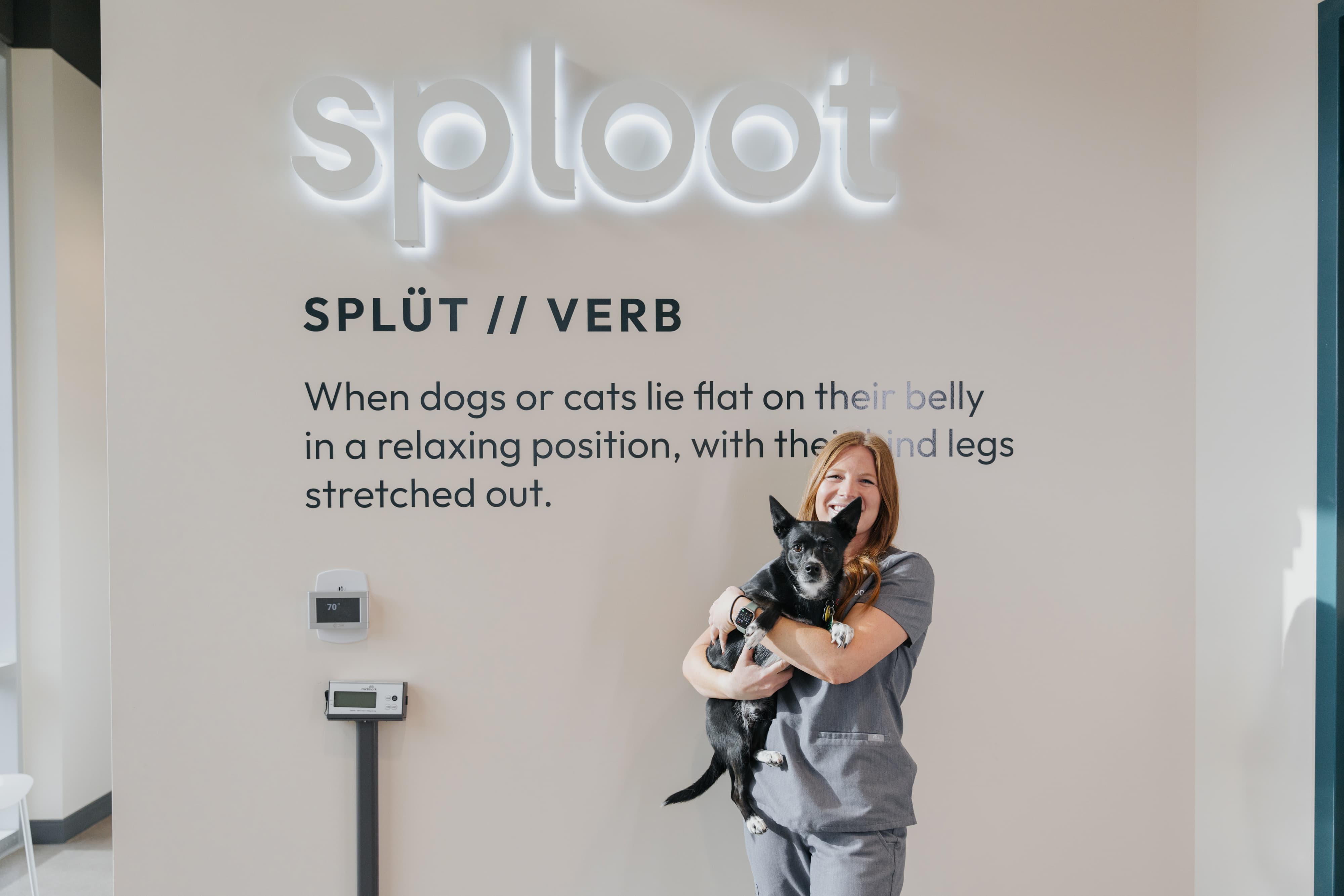Pets at Sploot clinic
